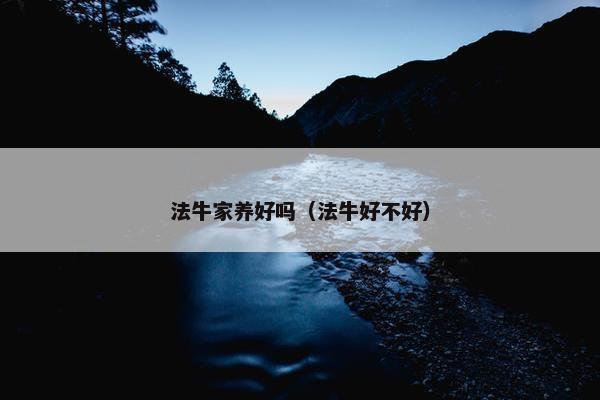 法牛家养好吗（法牛好不好）