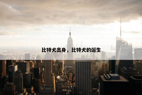 比特犬出身，比特犬的诞生