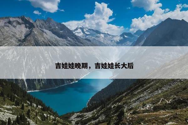 吉娃娃晚期，吉娃娃长大后