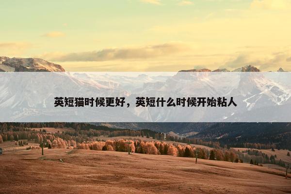 英短猫时候更好，英短什么时候开始粘人