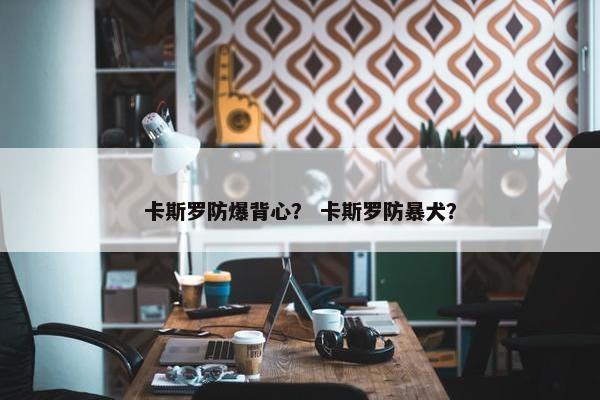 卡斯罗防爆背心？ 卡斯罗防暴犬？