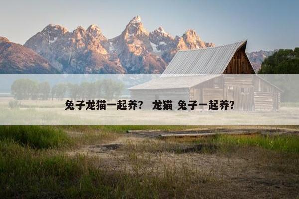 兔子龙猫一起养？ 龙猫 兔子一起养？