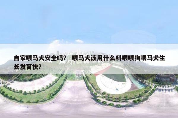 自家喂马犬安全吗？ 喂马犬该用什么料喂喂狗喂马犬生长发育快？