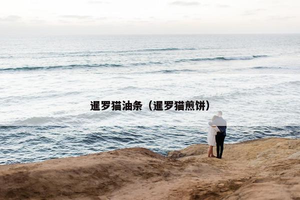暹罗猫油条（暹罗猫煎饼）