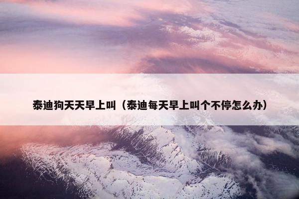 泰迪狗天天早上叫（泰迪每天早上叫个不停怎么办）