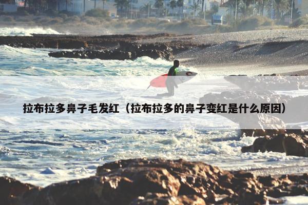 拉布拉多鼻子毛发红（拉布拉多的鼻子变红是什么原因）
