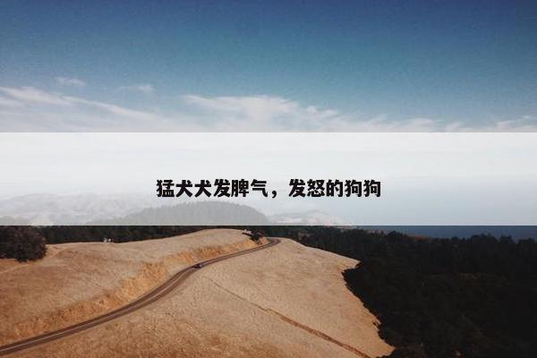 猛犬犬发脾气，发怒的狗狗