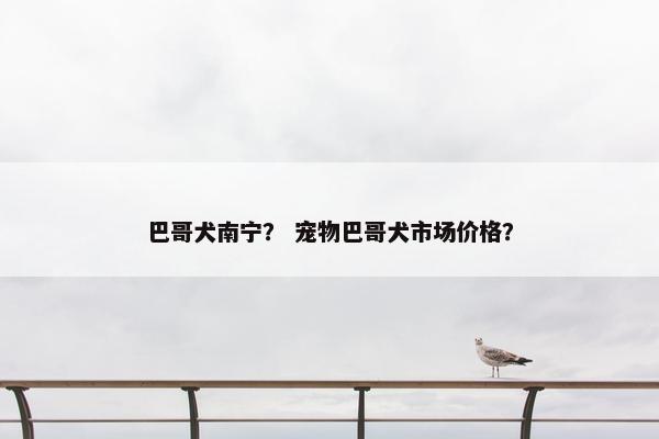 巴哥犬南宁？ 宠物巴哥犬市场价格？