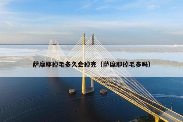萨摩耶掉毛多久会掉完（萨摩耶掉毛多吗）