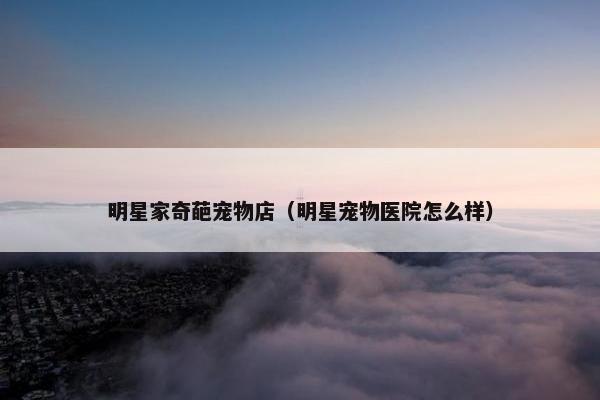 明星家奇葩宠物店（明星宠物医院怎么样）