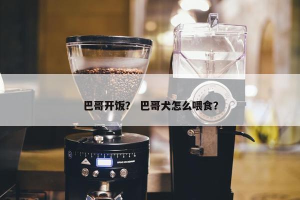 巴哥开饭？ 巴哥犬怎么喂食？