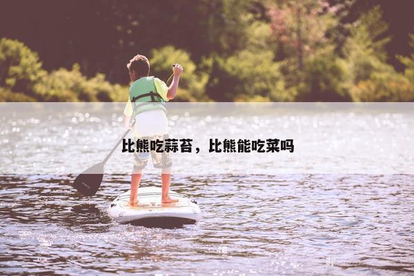 比熊吃蒜苔，比熊能吃菜吗