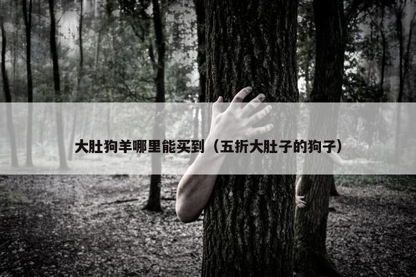 大肚狗羊哪里能买到（五折大肚子的狗子）