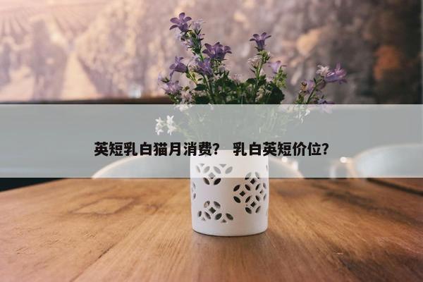 英短乳白猫月消费？ 乳白英短价位？