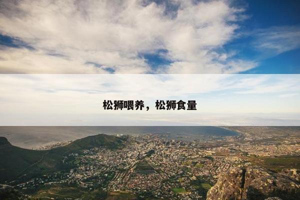 松狮喂养，松狮食量