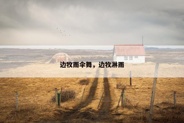边牧雨伞舞，边牧淋雨