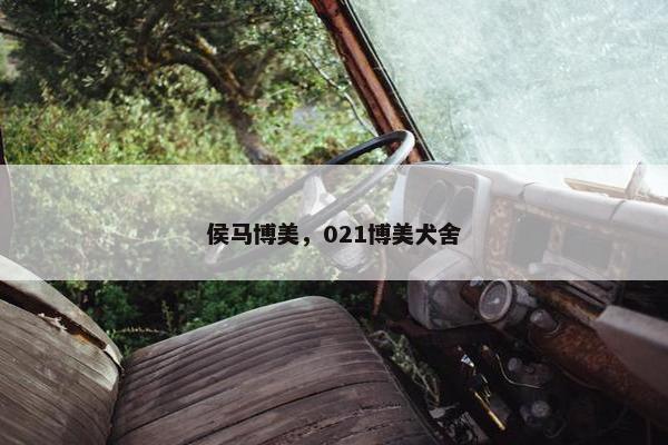 侯马博美，021博美犬舍