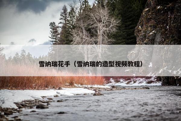 雪纳瑞花手（雪纳瑞的造型视频教程）