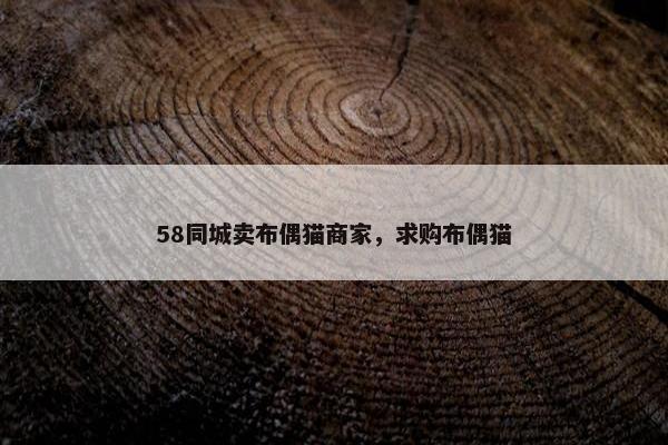 58同城卖布偶猫商家，求购布偶猫