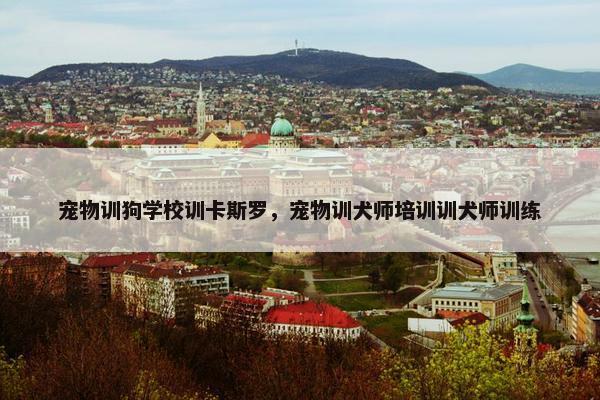 宠物训狗学校训卡斯罗，宠物训犬师培训训犬师训练
