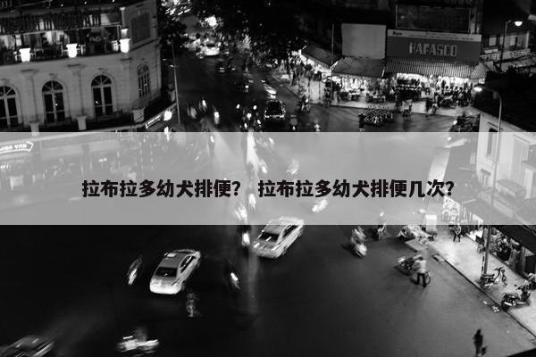 拉布拉多幼犬排便？ 拉布拉多幼犬排便几次？