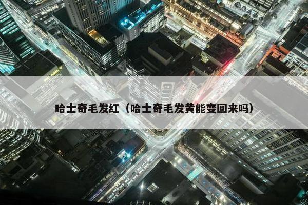 哈士奇毛发红（哈士奇毛发黄能变回来吗）