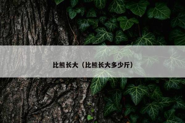 比熊长大（比熊长大多少斤）