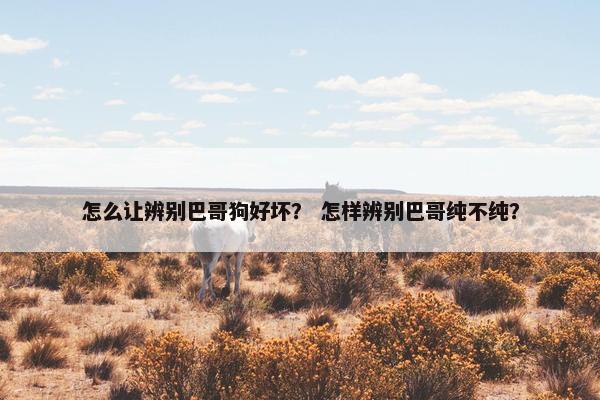 怎么让辨别巴哥狗好坏？ 怎样辨别巴哥纯不纯？