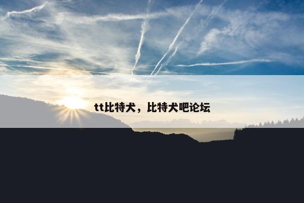 tt比特犬，比特犬吧论坛