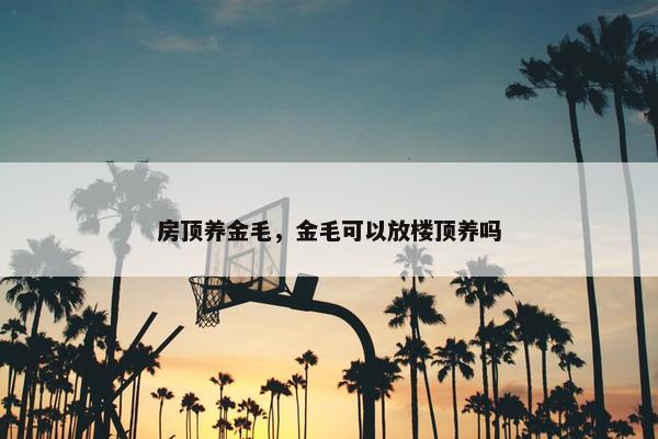 房顶养金毛，金毛可以放楼顶养吗