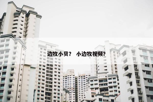 边牧小贝？ 小边牧视频？