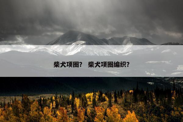 柴犬项圈？ 柴犬项圈编织？