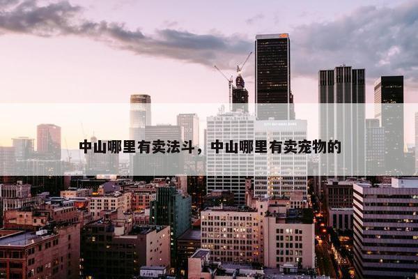 中山哪里有卖法斗，中山哪里有卖宠物的
