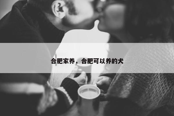 合肥家养，合肥可以养的犬