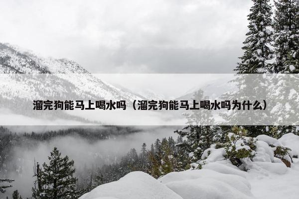 溜完狗能马上喝水吗（溜完狗能马上喝水吗为什么）