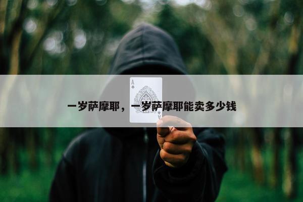 一岁萨摩耶，一岁萨摩耶能卖多少钱