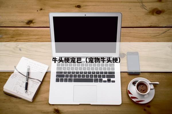 牛头梗宠巴（宠物牛头梗）