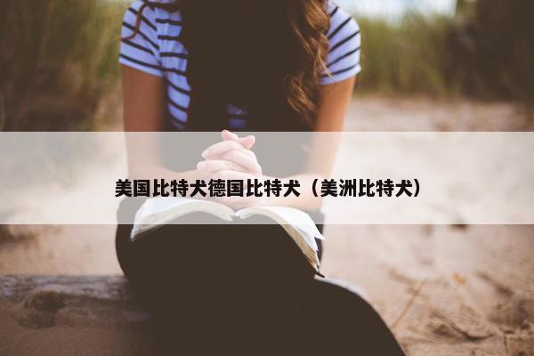 美国比特犬德国比特犬（美洲比特犬）