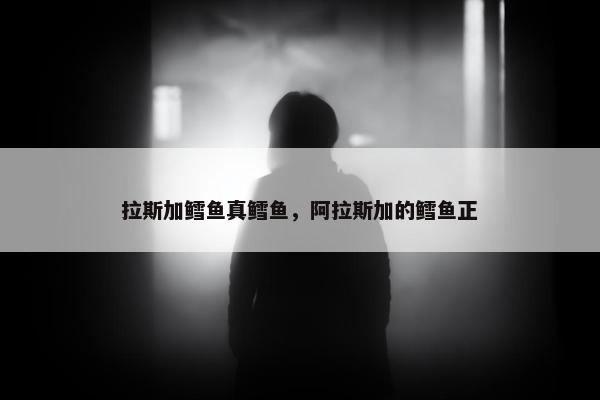 拉斯加鳕鱼真鳕鱼，阿拉斯加的鳕鱼正