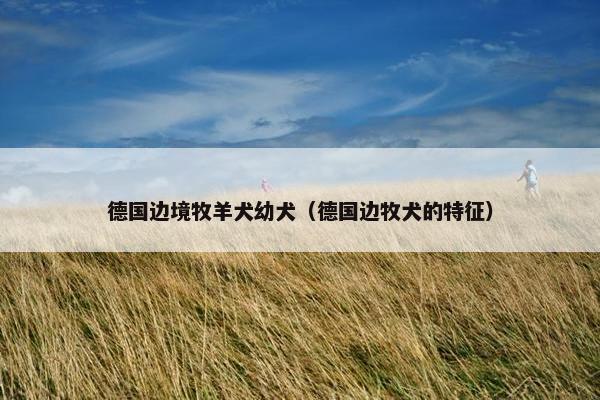 德国边境牧羊犬幼犬（德国边牧犬的特征）