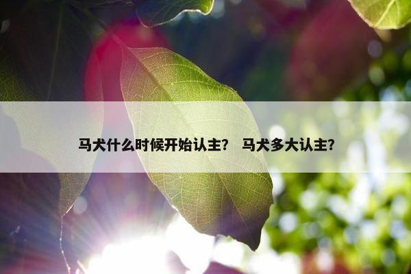 马犬什么时候开始认主？ 马犬多大认主？