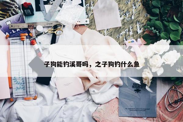 子狗能钓溪哥吗，之子狗钓什么鱼