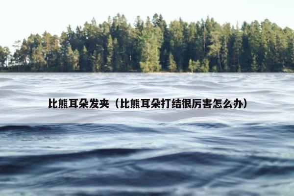 比熊耳朵发夹（比熊耳朵打结很厉害怎么办）