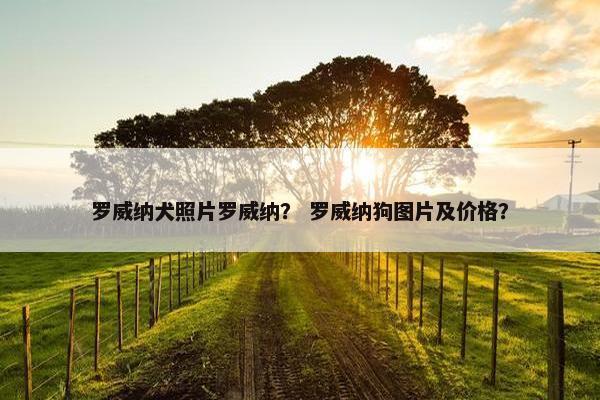 罗威纳犬照片罗威纳？ 罗威纳狗图片及价格？
