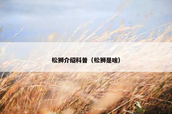 松狮介绍科普（松狮是啥）