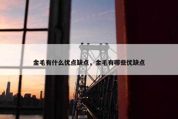 金毛有什么优点缺点，金毛有哪些优缺点