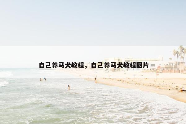自己养马犬教程，自己养马犬教程图片