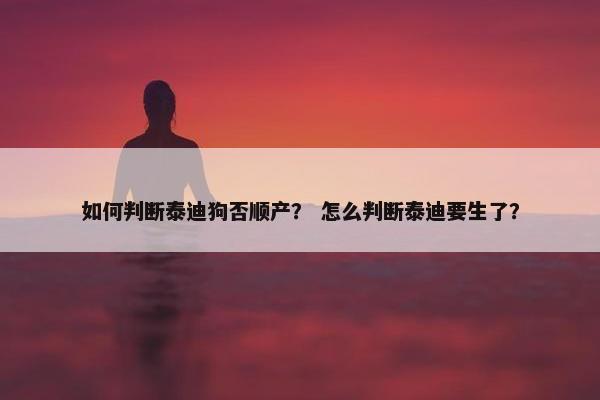 如何判断泰迪狗否顺产？ 怎么判断泰迪要生了？