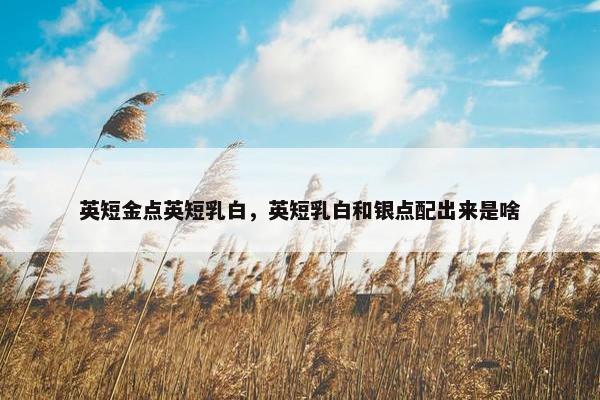 英短金点英短乳白，英短乳白和银点配出来是啥