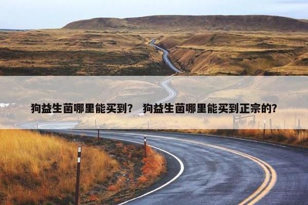 狗益生菌哪里能买到？ 狗益生菌哪里能买到正宗的？